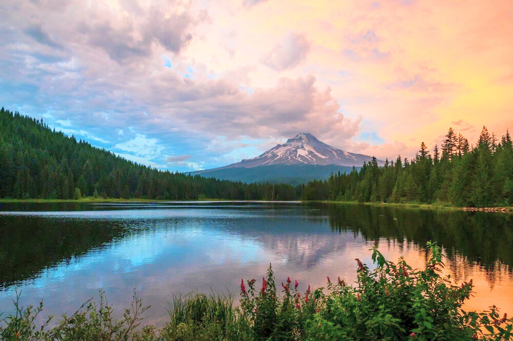 Elk Lake surrounded by fir trees in Central Oregon, with a stunning view of snow-capped Mt. Bachelor in the background.