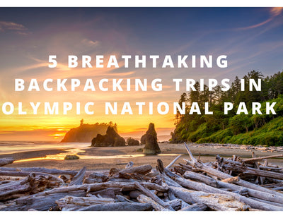 5 Breathtaking Backpacking Trips in Olympic National Park