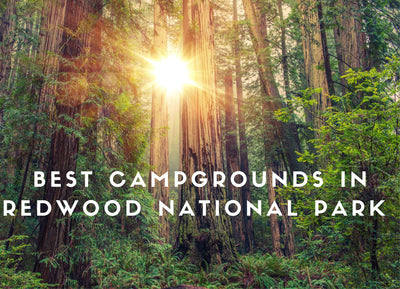 Best Campgrounds in Redwood National Park